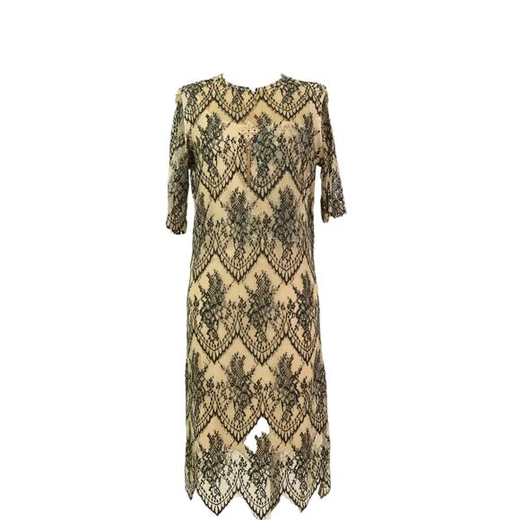 Caara Scalloped Lace Shift Dress Black Beige Size Medium NWT - Picture 2 of 9